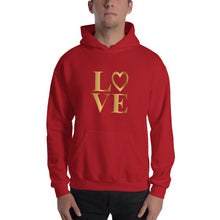 Load image into Gallery viewer, Love gifts Hooded Sweatshirt